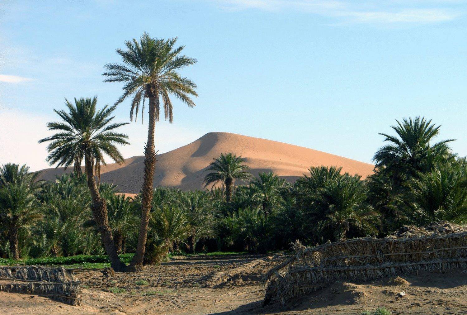Hotel Riad Oasis Merzouga Extérieur photo